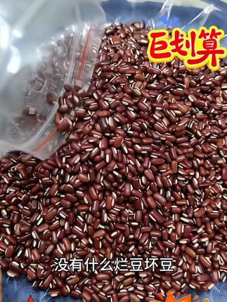农家新鲜长粒赤小豆粒粒饱满色泽鲜艳 包豆沙包沙沙面面嘎嘎香 #赤小豆 #农家赤小豆#头茬赤小豆#新鲜赤小豆#长粒赤小豆