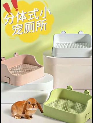 兔子厕所我家一直用的这一款#兔子厕所