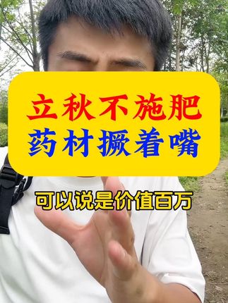 立秋不施肥,药材撅着嘴#药材种植 #中药材种植 #中药材种植基地 #药材 #中药材