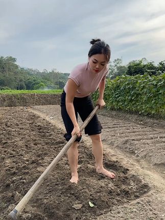 少红(9月7-8号周年庆)