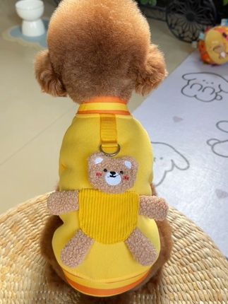 立体小熊卫衣🐶#宠物衣服#萌宠好物