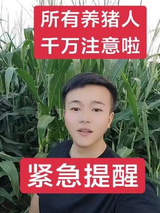 #养猪技术#紧急通知#所有养猪人