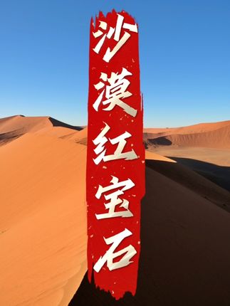 给大家上新一个宝贝新品,沙漠中的红宝石,不仅软糯香甜,营养价值还极高👍#椰枣 #零食推荐