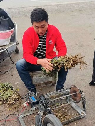 #好东西一起分享 湿干两用摘花生机