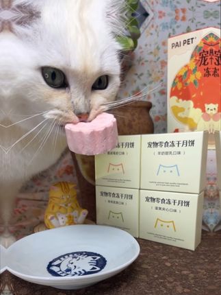 👉 独立密封包装|随身鲜食 🎯 中秋限定|人宠共庆仪式感#中秋月饼 #米粒#PaiPet#萌宠 #萌宠出道计划