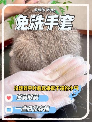 猫狗不爱洗澡或者洗澡很抗拒的,可以用这款宠物免洗手套,方便又好用!#宠物免洗手套 #萌宠好物 #宠物湿巾 #猫咪洗澡