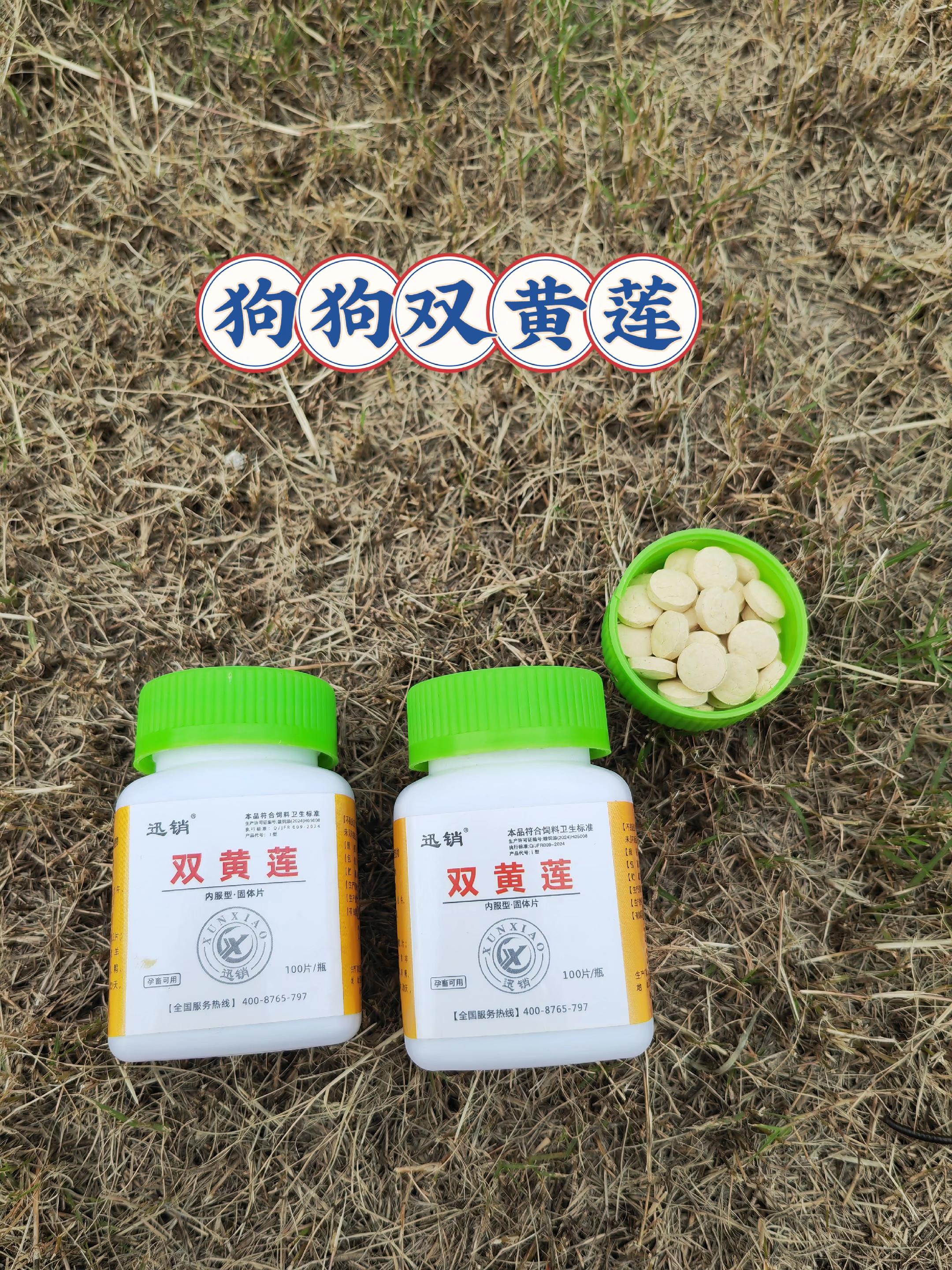 #养狗经验分享 #养猫经验分享 #新手养狗 #新手养猫 #科学养宠