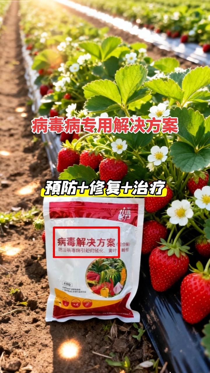 病毒病专用解决方案。#病毒病防治 #病毒病 #病毒病解决方案 #杀菌剂 #农业种植