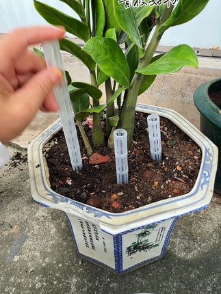 养花必备的#盆土通风管 增加植物的含氧量和透气性,解决植物闷根烂根的问题#养花小知识 #园艺盆栽 #养花#种植小技巧