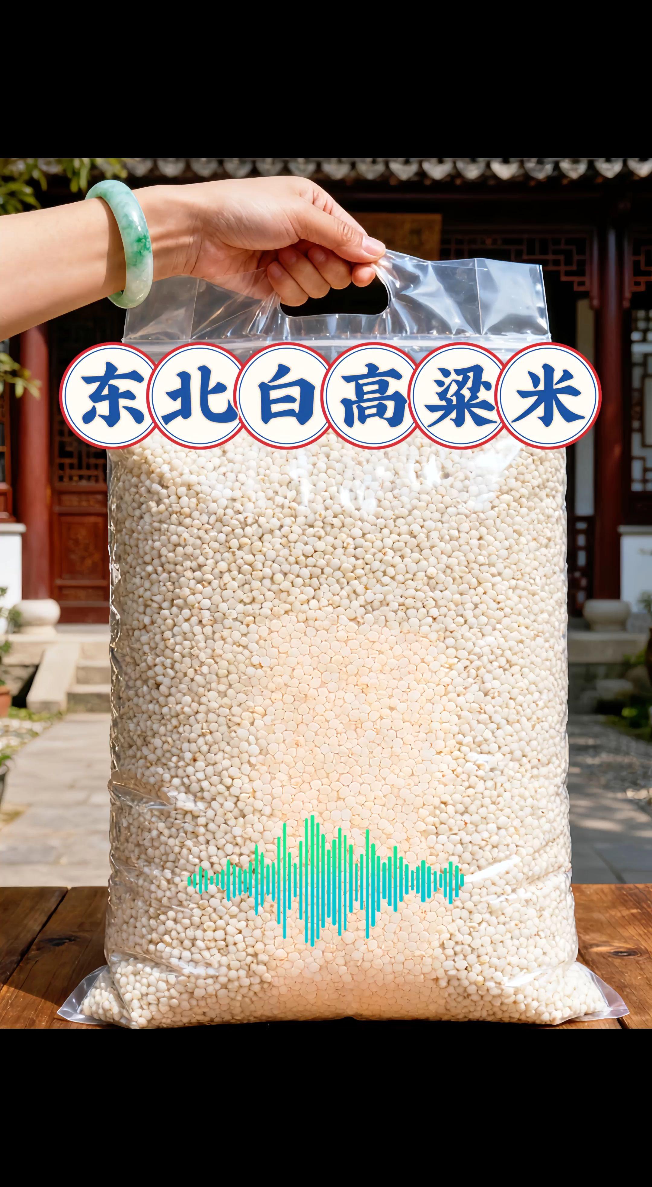 东北白高粱米。一碗白高粱 爷爷从粮囤舀出白高粱米时,米粒在搪瓷碗里滚得清脆。 我蹲在灶台边看他淘洗,饱满的颗粒浸在水里,像撒了把碎珍珠。柴火噼啪作响,锅里渐渐飘出清甜,开盖时蒸汽裹着米香扑满脸。 盛一碗在手,米粒圆润油亮,入口软糯又带嚼劲。爷爷总说:“这米养人。”后来我在城里尝过各种米,却再也没吃到过那样纯粹的香。 今年秋收,我特意回了趟老家,接过爷爷递来的新米。下锅时,熟悉的香气漫开来,还是记忆里那碗踏实的暖。 #白高粱米#粗粮 #五谷杂粮 #杂粮 #大米