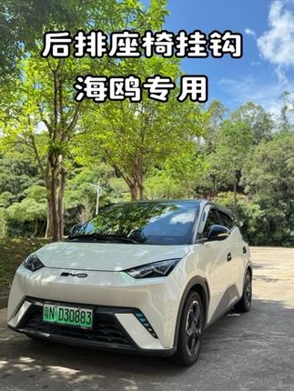 车里放一个这个挂钩,平时买的东西可以挂起来#车载挂钩 #汽车座椅挂钩 #座椅挂钩 #挂钩妙用#比亚迪海鸥