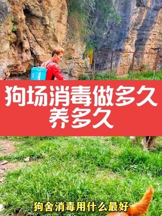狗狗消毒 怎么做 多久做 #萌宠出道计划 #狗场消毒 #狗狗 #养狗经验分享 #萌宠推荐官 @抖音小助手