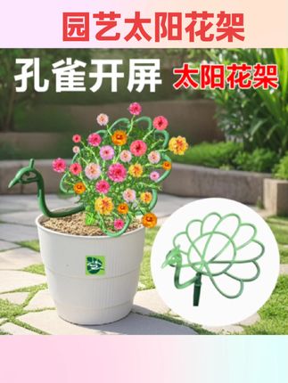 #分享爱用物 园艺太阳花支撑架孔雀造型花架子阳台花卉太阳花蟹爪兰专用固定器#太阳花支架 #园艺工具 #花架子 #好物安利