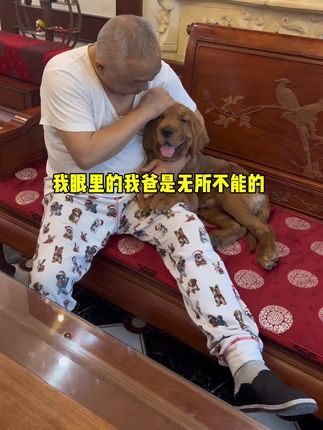 憨憨金和帅帅银