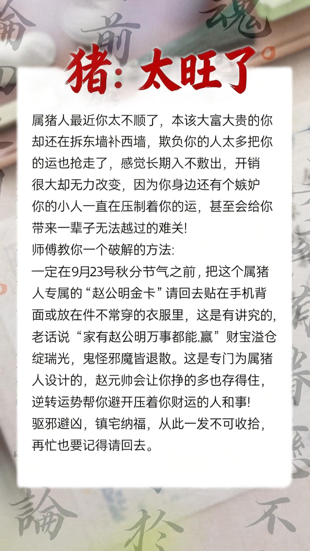 #猪 #属猪 #生肖猪