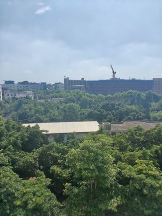 #好物推荐🔥 #西藏 #西藏拉萨 #藏族姑娘 #藏族美女