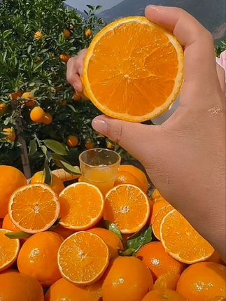 能够吃出花香味的橙子🍊就是这个来自脐橙之乡,秭归的伦晚脐橙,它的生长周期长达15个月,比普通橙子甜度更高!风味更浓!都是果农现摘现发,皮薄肉厚,汁水超级丰富,果肉细腻无渣,九甜一酸,富含满满的维C,家里有老人孩子的一定要安排尝一尝!#伦晚脐橙 #新鲜应季水果 #我可真会买 #口感特别好 #好吃到停不下来