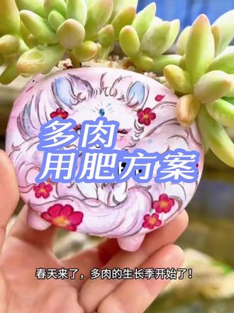 嘴对嘴分享我的用肥方案!千万别错过哈!
#记录多肉生活 #多肉植物 #多肉养护 #多肉 #多肉控