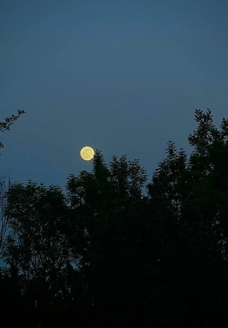 你一个人战斗了那么久,最终也没有屈服,我们也将会一战到底,绝不低头#风景素材大自然 #大自然的气息 #最美星空 #治愈 #拍月亮