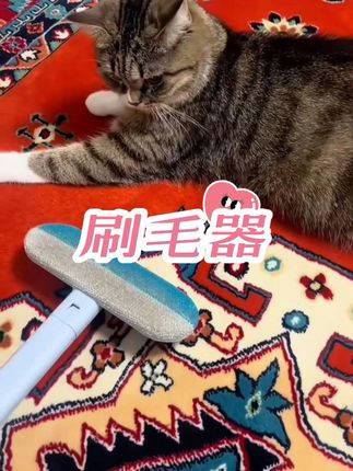 #好物推荐分享 #好物分享🔥