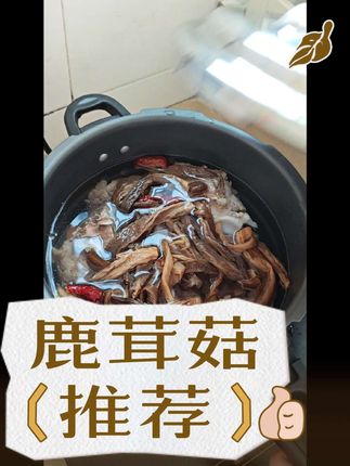 今日分享美食猪骨煲鹿茸菇,秋风起鹿茸美#鹿茸菇 #煲汤 #每日分享 #干货#美食 #橱窗好物