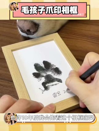 也许十年后我会抱着这个相框痛哭,但是更怕到哪时候找不到你的足迹 #萌宠 #足印相框 #宠物印章 #玩个很新的东西 #宠物vlog