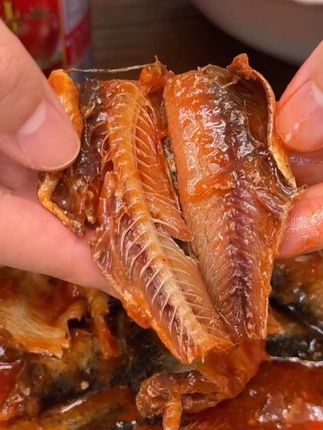 红塔专享 茄汁鲭鱼罐头400g*5多选应急食品方便番茄老字号速即食#美食 #美食推荐 #超好吃 #罐头鱼 #好吃推荐