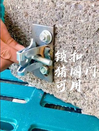 锁扣猪圈门可用#锁扣 #畜牧养殖 #养殖场 #养猪人