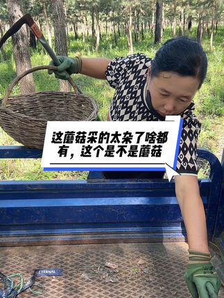 #我的乡村生活 #农村美食记录生活 #家庭vlog日常 #干活我是认真的