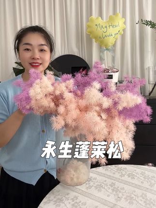 花店必备永生蓬莱松#蓬莱松#永生花蓬莱松