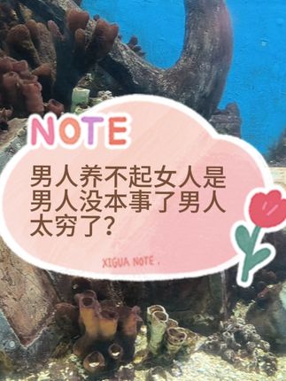 男人养不起女人就是没本事了?是男人太穷了? #男人 #养家糊口的男人 #情感 #女性智慧 #社会百态