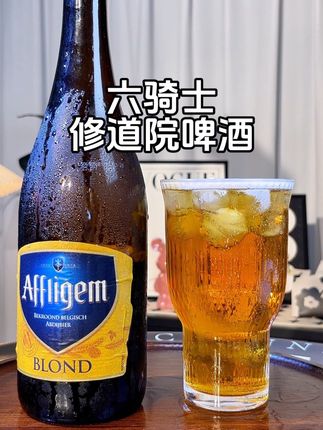 比利时进口#六骑士修道院啤酒 真的有点东西 #啤酒 #夏日冰饮 #清凉一夏