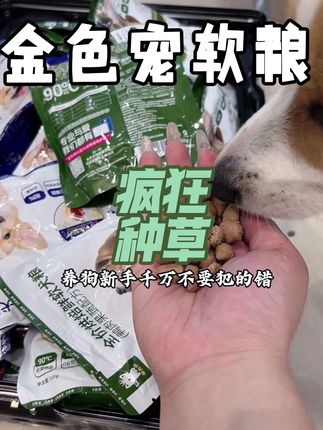 挑食狗老年狗都可以吃,有助于消化的鲜肉软粮!#萌宠 #家有馋狗 #科学养宠攻略 #养狗经验分享 #金色宠