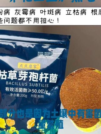 #花卉绿植种植技巧 #过完夏天大家又收了几个空盆?留下来 旧生可不要急着扔,稍做改良就可以 省下不少买土的钱!#养花小知识#种植小技巧