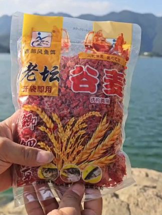 #谷麦钓 #逗钓 #打窝 #钓鱼 #鱼饵 谷麦钓西部风老坛谷麦