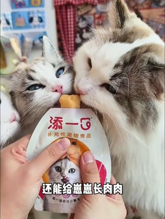 不会还有小猫咪没吃过蛋黄酱吧!鲜鸡肉加蛋黄,补充优质蛋白和卵磷脂,长肉美毛减少掉毛!#新手养猫 #萌宠好物 #添一口宠物辅食 #添一口蛋黄酱