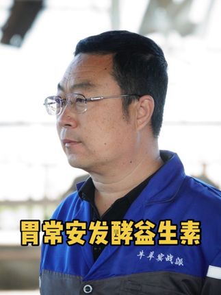 胃常安发酵益生素 #牛羊养殖 #三农 #养殖技术 #科学养殖 #养殖户