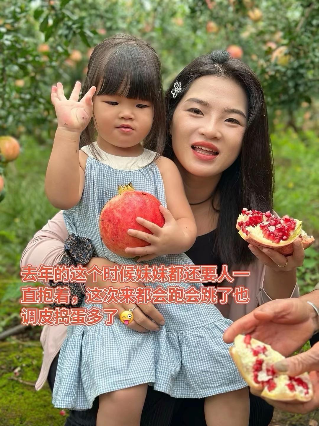 四川会理突尼斯软籽石榴太好吃了🤤 口感纯甜无酸,口口爆汁……