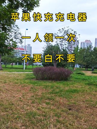 适用苹果60WPD头45W充电器iPhone14/13/11promax/7P/8P快充数据线#苹果快充 #数据线 #充电器 #快充 #充电线