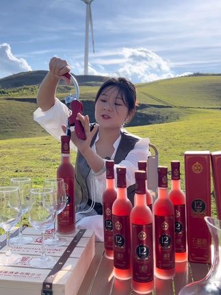 云南石榴酒,酒度12度,入口不苦不涩微微带甜,果香浓郁#石榴酒 #果酒