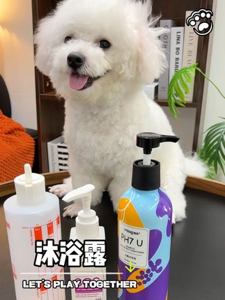 现在一年能帮我省下一部手机钱了,狗狗洗澡也能很简单省钱了#逸诺宠物沐浴露 #狗狗沐浴露 #狗狗洗澡 #养狗人 #萌宠好物