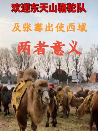 东天山骆驼队
#河南dou知道 #欢迎光临我的生活 #重走丝调之路意义 #旅行 #张骞