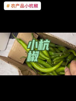 #创作灵感 #蔬菜 #绿色农产品 #杭椒 #辣椒 今天推荐的小杭椒。小杭椒炒肉好香啊!@抖音小助手 @抖音创作灵感 @抖音创作者中心 @巨量本地推 @抖音带货达人