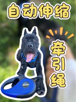 #懒人必备 #买一送一很划算 #伸缩牵引绳 #养宠必备#遛狗神器 还有谁出门不牵绳啊?这根智能伸缩牵引绳可太香了,再也不用费力遛狗了