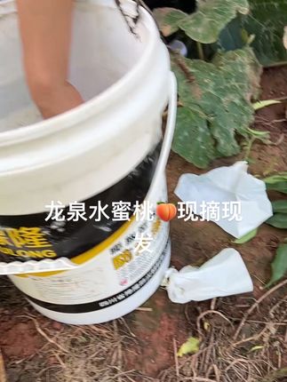 #三农 #我的乡村生活 #优质农产品