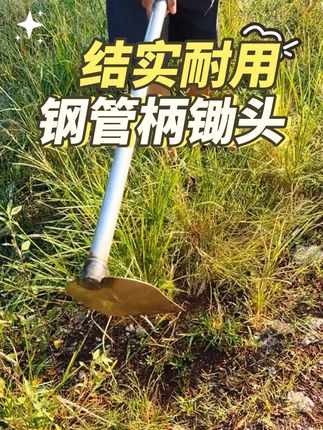 结实耐用,钢管柄锄头。#户外工具 #锄草 #除草 #农具 #种地