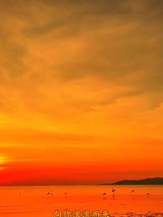 #海边日落晚霞 #爱在黄昏晚风时 #落日余晖映晚霞一抹夕阳美如画 #治愈系风景