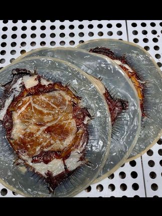 #海哲 渤海野生海蜇皮绵蜇皮碎边碎皮5斤海 蜇干皮凉拌菜新鲜爽脆海鲜#海哲皮 #海哲丝 #开胃菜 #凉拌菜