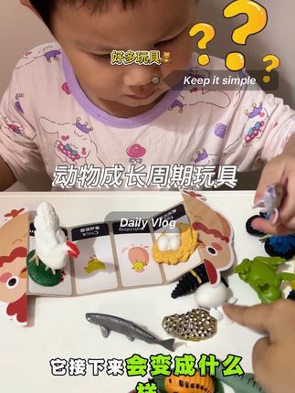小朋友的动物模型买过很多,但是这种能完整还原“成长全过程”的纽奇动物成长周期玩具,真的让娃眼前一亮#动物模型#早教益智#宝宝玩具#玩具推荐#边玩边学