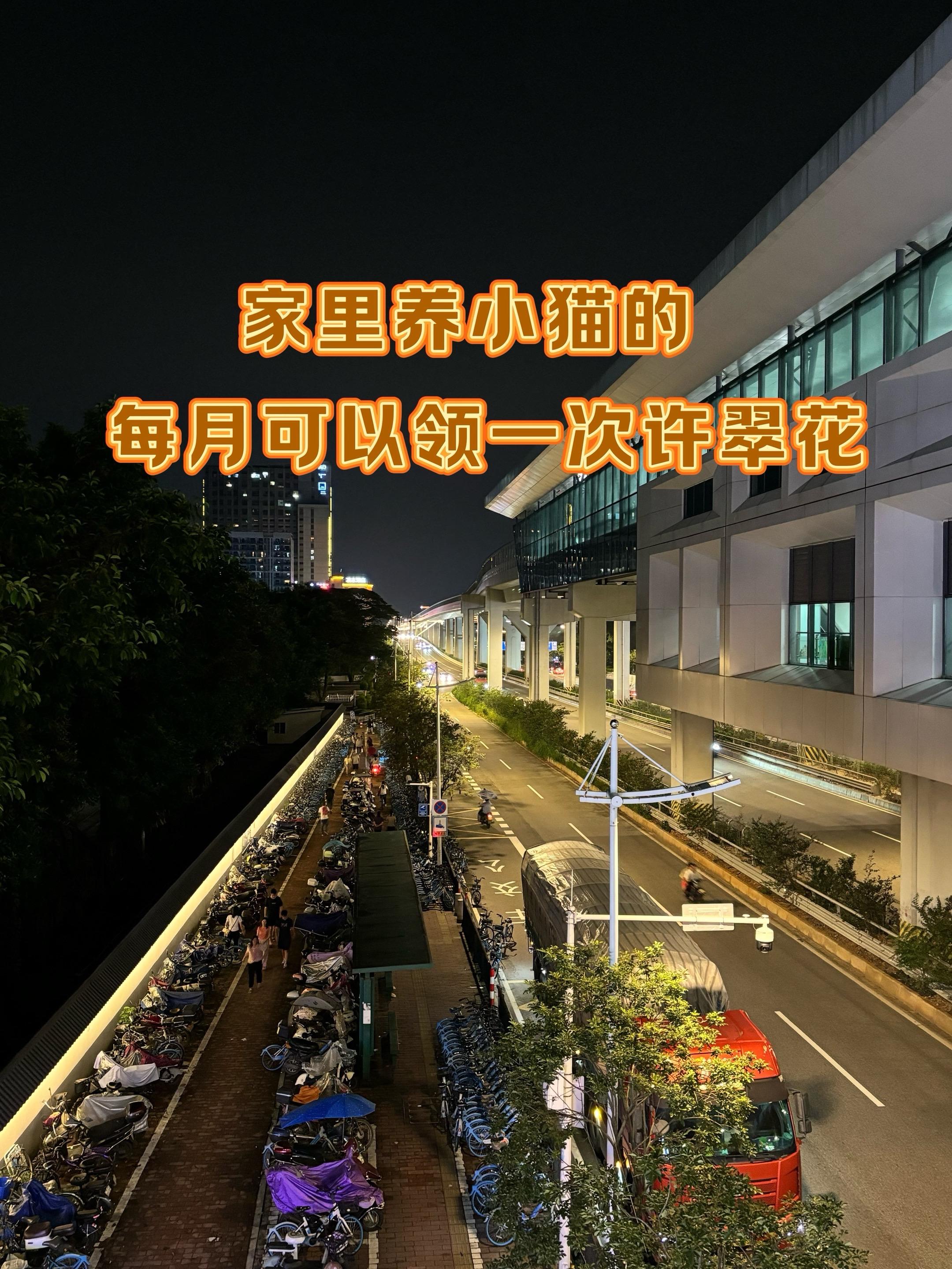 这还说啥,好用成这样了,纠结选什么猫砂的姐妹直接闭眼入好吗!#许翠花猫砂 #新手养猫